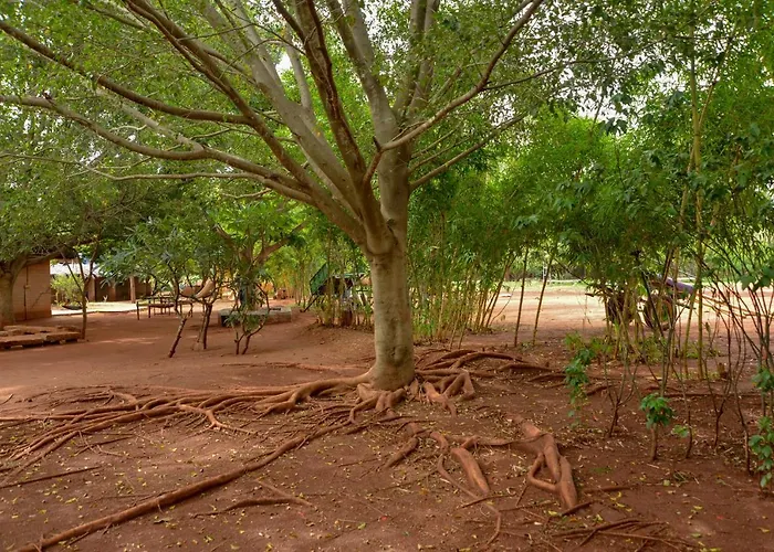 Our Native Village