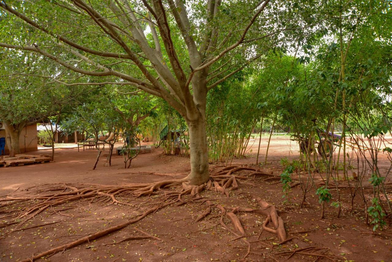 Our Native Village Resort