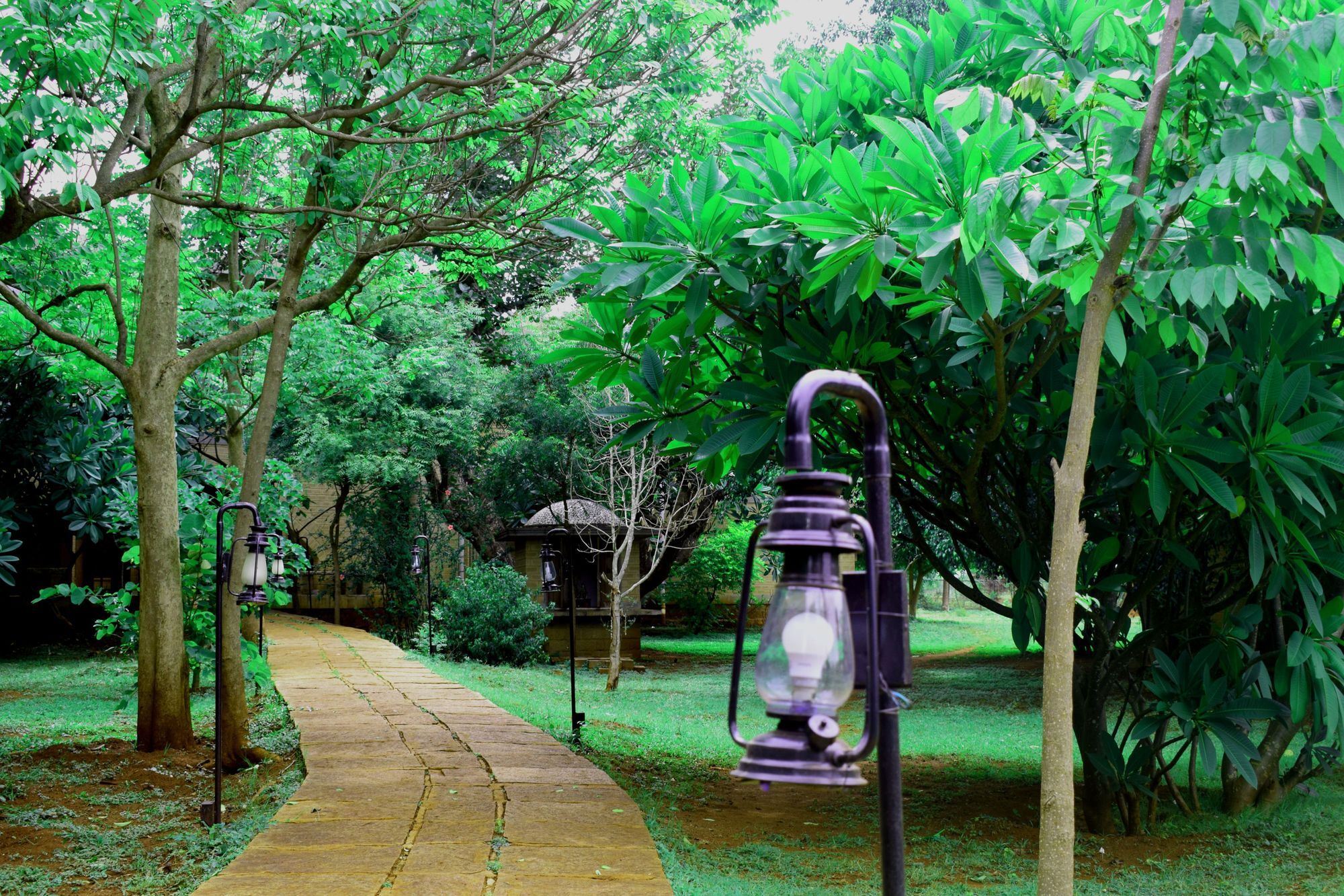 Resort Our Native Village Gadigarpalya